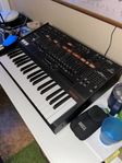 Behringer Odyssey