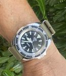 CWC Royal Navy Diver 300m
