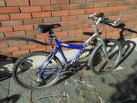 Nishiki mtb