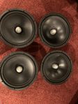 Acoustic Elegance 12 tums dipolelement