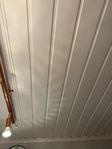 Takpanel vitmålad