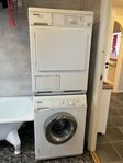Miele