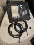 Purist audio design venustas