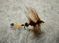 Royal Wulff #12 6pack torrfluga öring harr