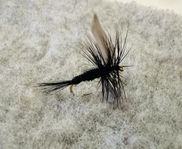 Black Gnat #12 6pack torrfluga öring harr