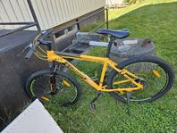jättefin cykel