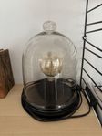 lampa