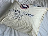 Helt Ny Äkta Canada Goose Dunkudde 51x61cm, Medium Fasthet