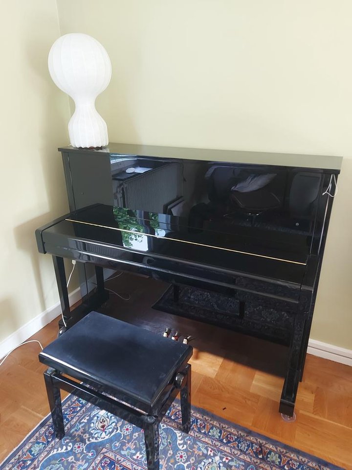 Yamaha B3E