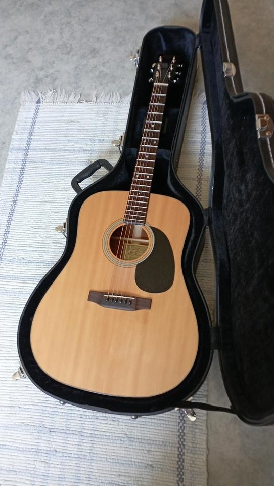 Recording King RD-318 all sol...