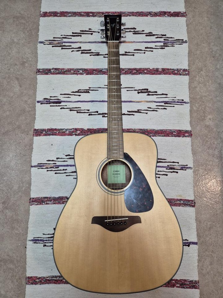 Akustisk Gitarr