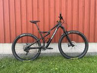 Specialized Stumpjumper FSR 29"