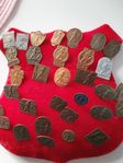 Vasalopps märken pins
