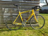 team Rynkeby Bianchi