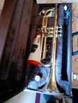 Trumpet