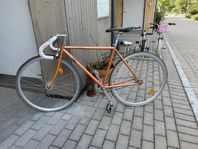Fuji Feather 