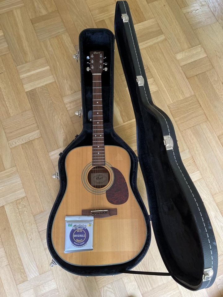 stålsträngad gitarr
