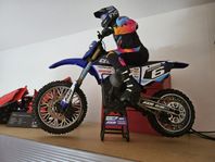 Mx losi
