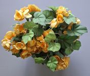 Plastblomma