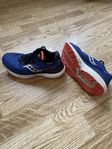 Saucony Triumph 19