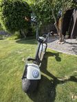 Elscooter (Fatscooter)