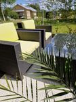 trädgårdsgrupp med palm