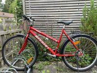 Mountainbike