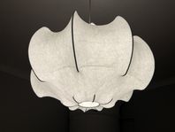 Flos viscontea