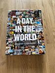A day in the world