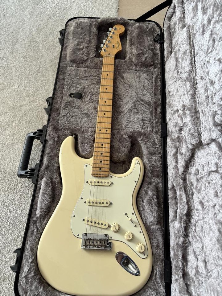 Fender Stratocaster Professio...