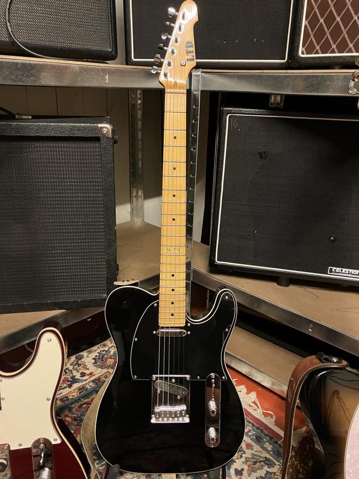 ESP LTD Telecaster TE-212 Upg...