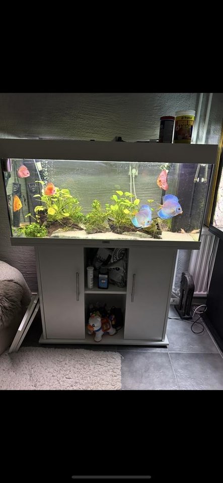 Vit vackert Juwel akvarium sa...