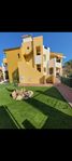 Hyr bungalow i Punta Prima Torrevieja