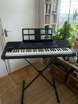 Casio CT-X700