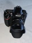 Nikon D4 + Sigma 50 1,4