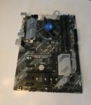 Asus Z490-P inkl. Pentium G5600