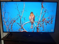 50" 4k QLED UHDA Smart TV.
