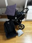Våran fina Bugaboo Fox