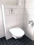 Vägghängd WC inkl. Spolknapp