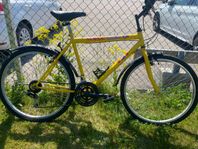 herrcykel 