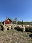 Björkved