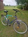 Mustang herrcykel