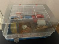 hamster och tillbehör 