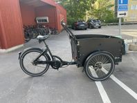 Cargobike Delight