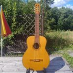 Levin LG-17