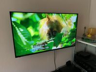 Panasonic 40 tum 4K Ultra HD (3840x2160) LCD Smart TV