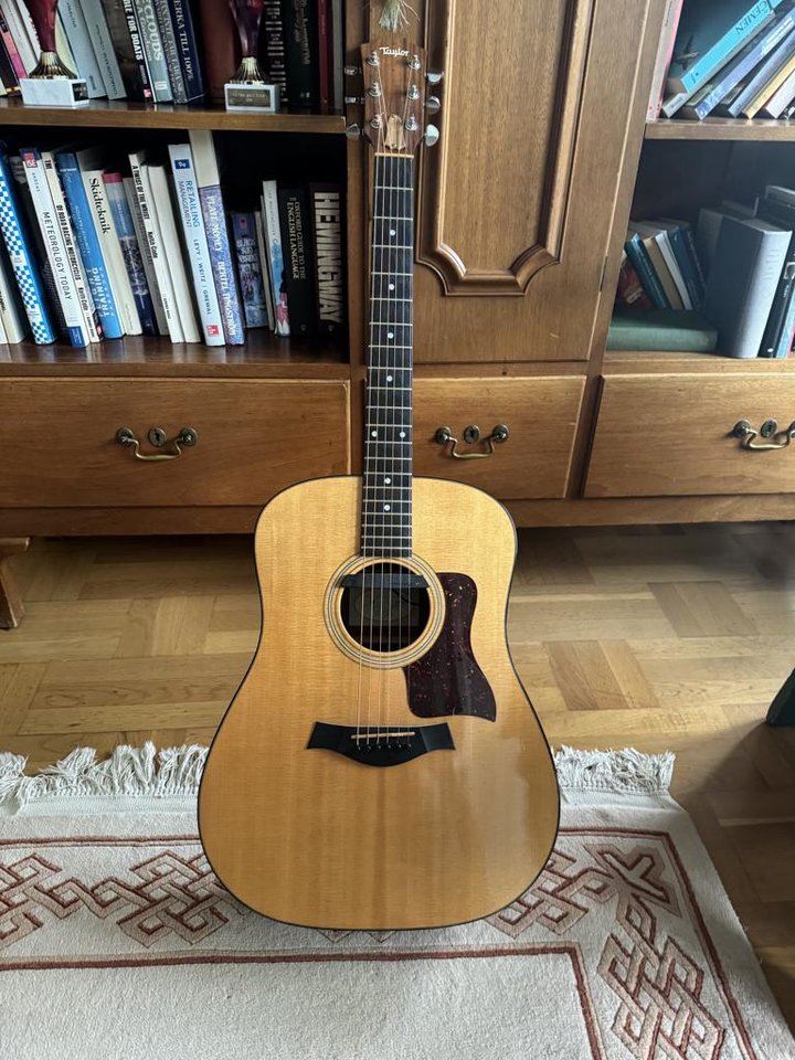 Taylor 310 med Fisherman pickup
