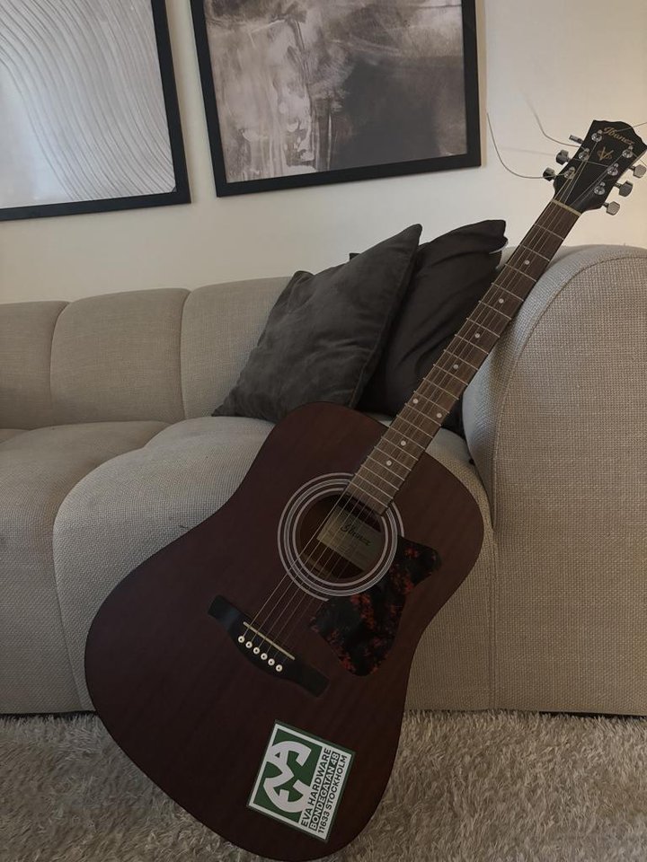 akustisk gitarr 