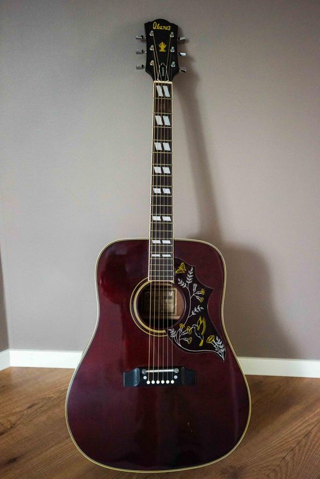Ibanez Concord 684 CW 1977 - ...