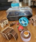 Allt för din hamster